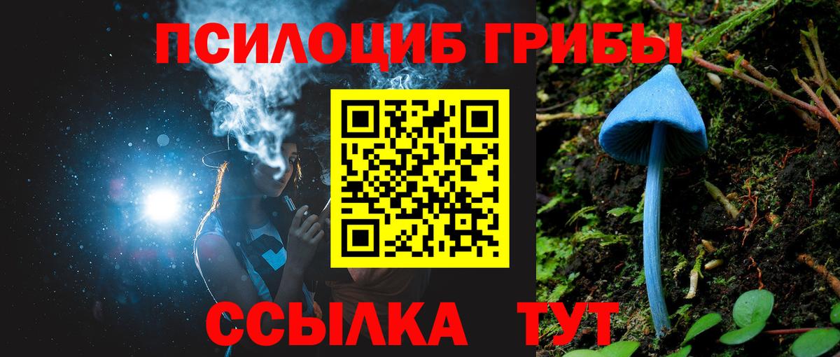 Избербаш  Галлюциногенные грибы GOLDEN TEACHER  Вход с VPN 